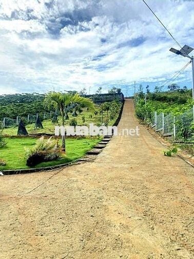 Bán nhanh lô đất view hồ 23x82,3m 1893m2 giá 500triệu sẵn nhà homestay