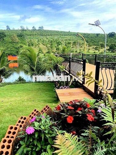 Bán nhanh lô đất view hồ 23x82,3m 1893m2 giá 500triệu sẵn nhà homestay