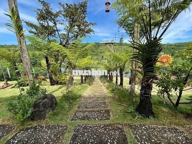 Bán nhanh lô đất view hồ 23x82,3m 1893m2 giá 500triệu sẵn nhà homestay