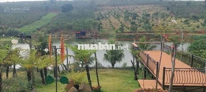 Bán nhanh lô đất view hồ 23x82,3m 1893m2 giá 500triệu sẵn nhà homestay