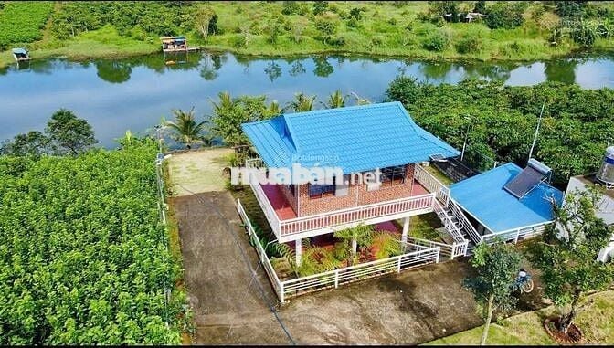Bán nhanh lô đất view hồ 23x82,3m 1893m2 giá 500triệu sẵn nhà homestay