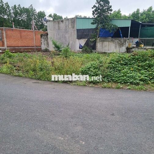 5C25 FULL THỔ CƯ,  MẶT TIỀN NHỰA XÃ AN VIỄN TRẢNG BOM