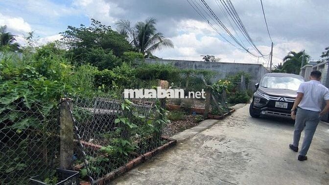 Chính chủ cần tiền bán gấp đất thổ cư khu 2 Thị Trấn Cần Đước, Long An