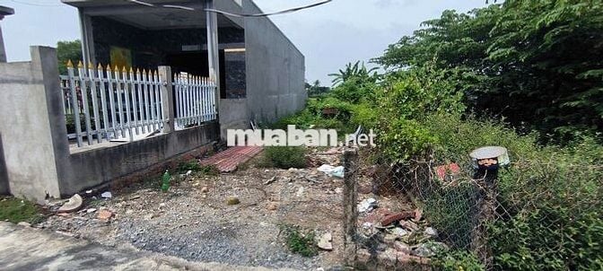 Chính chủ cần tiền bán gấp đất thổ cư khu 2 Thị Trấn Cần Đước, Long An
