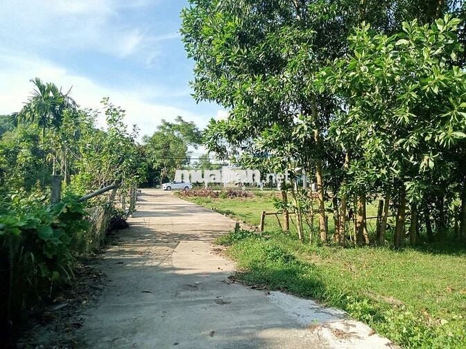 Chính chủ cần bán lô đất biệt thự thôn Nam Thành - Hòa Vang