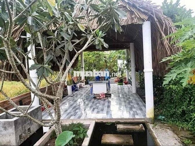 kẹt tiền cần bán đất có sẵn thổ cư