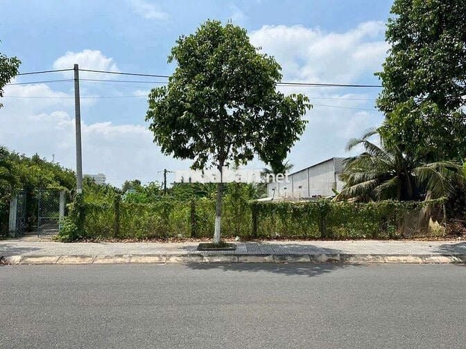 Đất đẹp mặt tiền đường 30m, chỉ hơn mười lăm triệu mét vuông