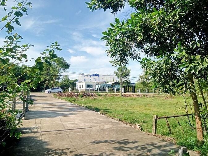 Chính chủ cần bán lô đất biệt thự thôn Nam Thành - Hòa Vang