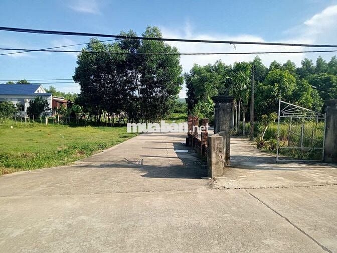 Chính chủ cần bán lô đất biệt thự thôn Nam Thành - Hòa Vang