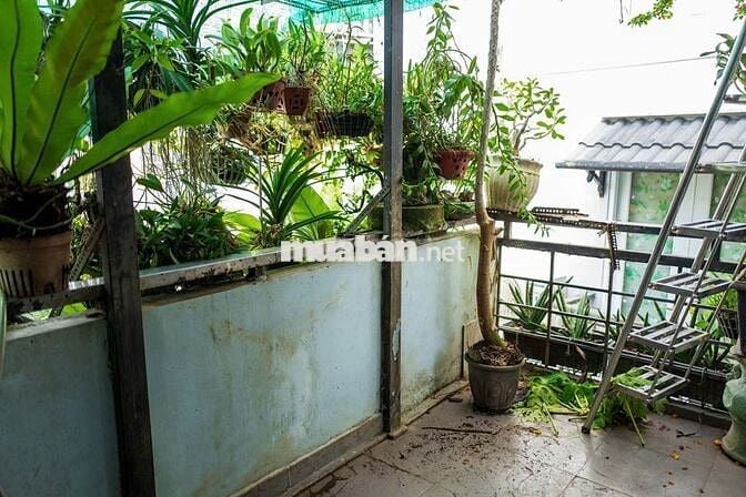 Nhà Nguyên Căn Đường Nhiêu Tâm - 3PN 3WC - Gần Chợ Hoà Bình