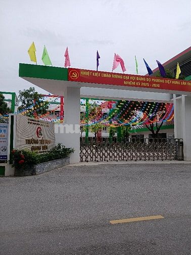 cho thuê nhà nguyên căn dt 100m2