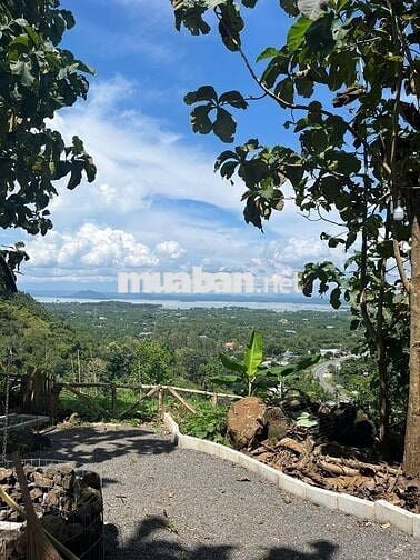 🌿Đất Vườn View Hồ TRỊ AN 3000m² Cảnh Yên Bình, Giá Chỉ 1.1 Triệu/m²🌿