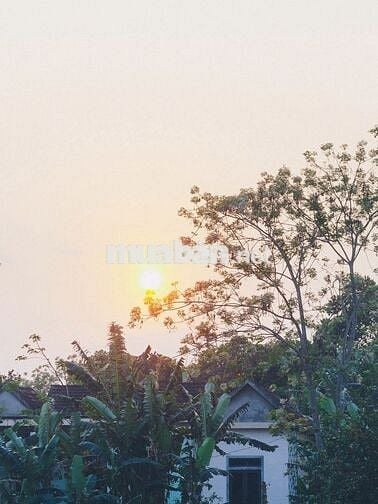 🌿Đất Vườn View Hồ TRỊ AN 3000m² Cảnh Yên Bình, Giá Chỉ 1.1 Triệu/m²🌿