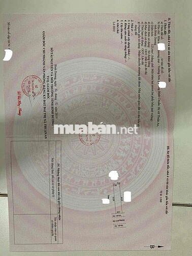 Bán nhà tâm huyết Chợ Phú Phong