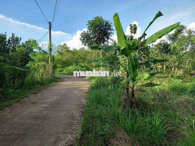 🔥 GIÁ NGỘP – 1020M² ĐẤT VƯỜN CHÍNH CHỦ TẠI ĐỊNH QUÁN – CHỈ 399 TRIỆU