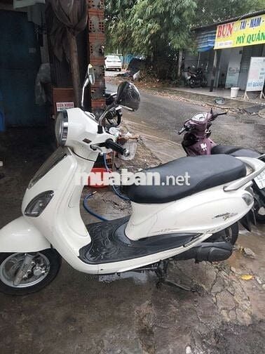 cần bán Elizabeth Venus êm ru mới keng