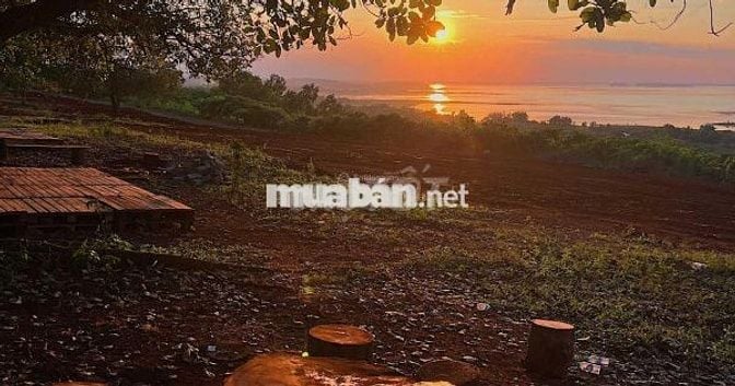 🌿Đất Vườn View Hồ TRỊ AN 3000m² Cảnh Yên Bình, Giá Chỉ 1.1 Triệu/m²🌿