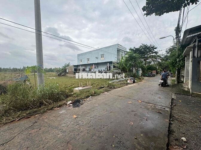 Siêu Phẩm Nhà Vườn Giáng Đông - Hoà Xuân - Ful thổ cư