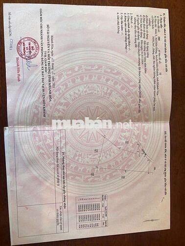 Đất trồng cây, Diên đồng Diên Khánh Hòa