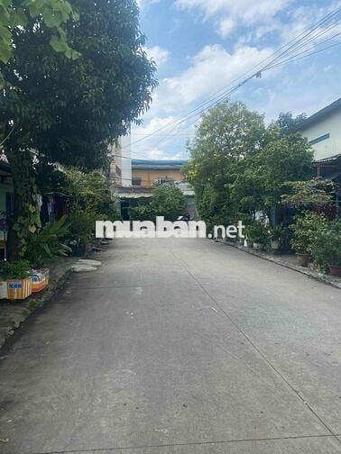 Chính Chủ Bán Dãy Trọ Cũ Đường Tiền Lân 12 Ngang 12m Dài 26,6m