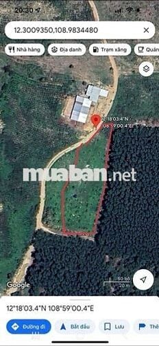 Đất trồng cây, Diên đồng Diên Khánh Hòa