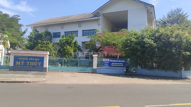 Lô sổ đỏ 8x20 đường 12m gần trường Đại học tại KDC Cát Lái 60tr/m