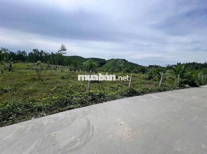 Đất trồng cây, Diên đồng Diên Khánh Hòa