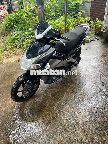 ab đầu nhọn 2010