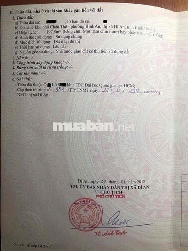 Đất xây biệt thự, khu Châu Thơi, P Bình An, Tp Dĩ An.