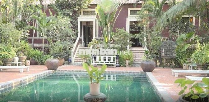 Đât rộng gần Ngã Ba Cây Điệp, P Tân Đông Hiệp, TP Dĩ An.