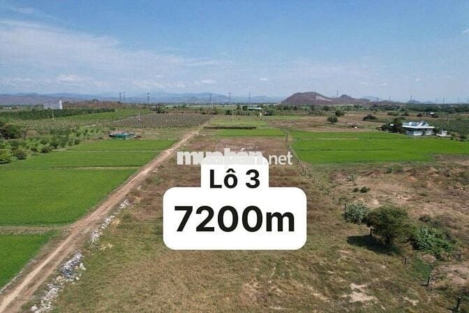 Chính chủ bán đất tại huyện Hàm Thuận Bắc, Bình Thuận (cũ)