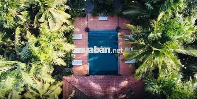 Đât rộng gần Ngã Ba Cây Điệp, P Tân Đông Hiệp, TP Dĩ An.