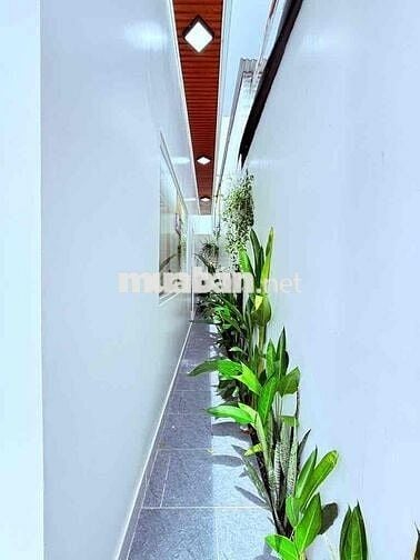 Diện tích khủng 104m 4ty4 Đường Đổ Văn Dậy Hóc môn. Nội thất cao cấp.