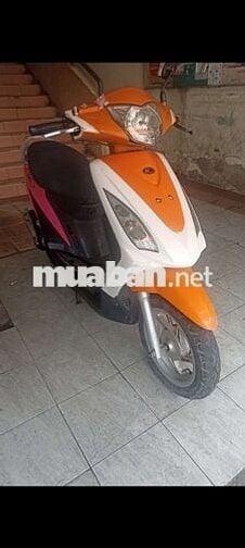 Kymco candy hi 2018 Ga 50 học sinh