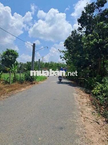 Chủ bán nhà vườn cực kì đẹp ở THỊ XÃ CHƠN THÀNH