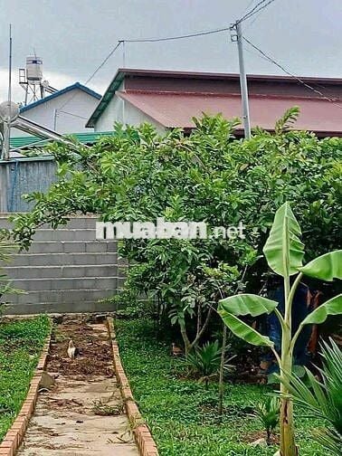 Chuyển nhà bán lỗ gấp lô 20x48m, 960m2 giá 300triệu có sẵn nhà cấp 4