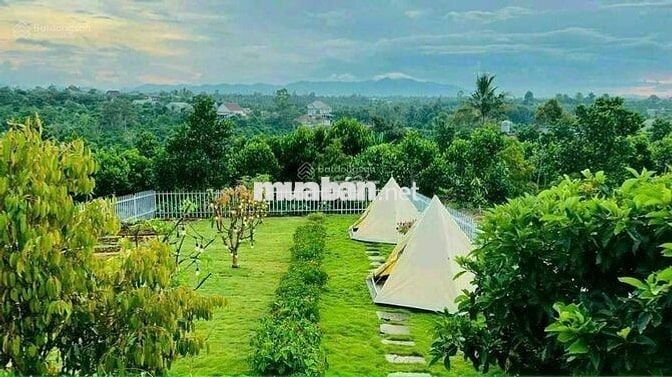 Nợ nần cần bán lỗ nặng lô 900m2 giá 300triệu tặng nhà và sân vườn đẹp