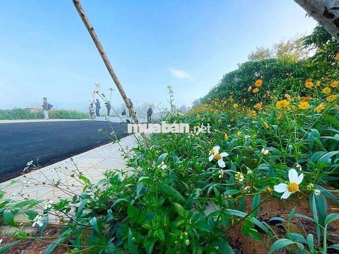 Lô 260m2 ngang 10m đường 8m hạ tầng đẹp dân cư hiện hữu giáp Bảo Lộc