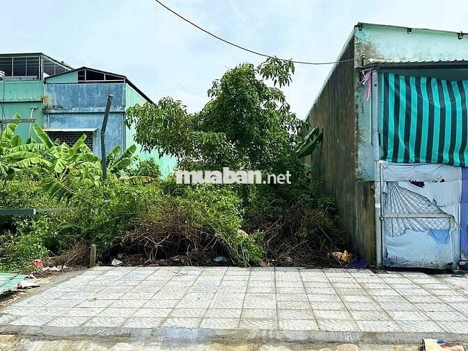 [Hiếm có] Đất MT Đường 7,5m Hồng Phước 5 | Gần 10 Toà Chung cư ORI