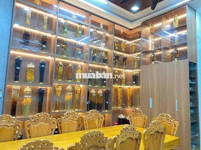 Mặt Tiền Nguyễn Hữu Thấu ( Tân Lợi ) Phường BMT