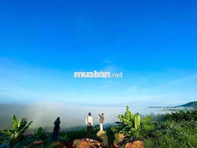 Lô 260m2 ngang 10m đường 8m hạ tầng đẹp dân cư hiện hữu giáp Bảo Lộc