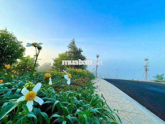 Lô 260m2 ngang 10m đường 8m hạ tầng đẹp dân cư hiện hữu giáp Bảo Lộc