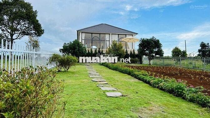 Nợ nần cần bán lỗ nặng lô 900m2 giá 300triệu tặng nhà và sân vườn đẹp