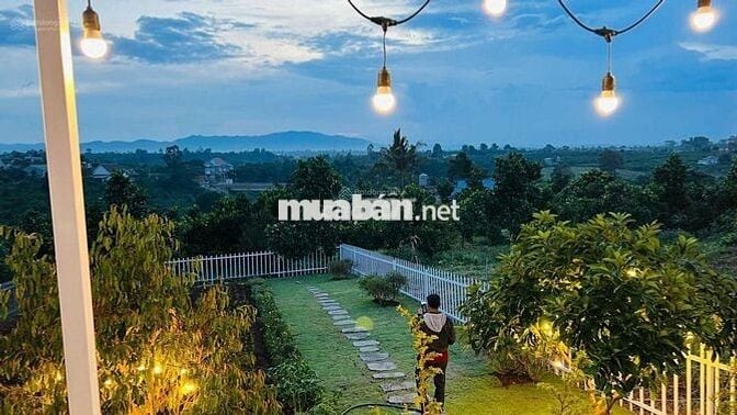 Nợ nần cần bán lỗ nặng lô 900m2 giá 300triệu tặng nhà và sân vườn đẹp