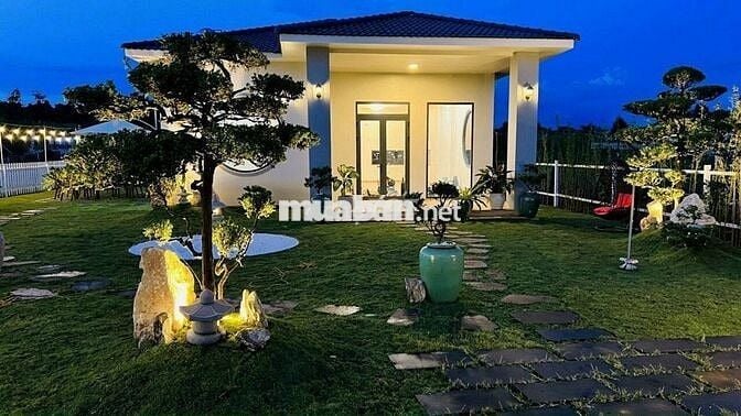 Nợ nần cần bán lỗ nặng lô 900m2 giá 300triệu tặng nhà và sân vườn đẹp
