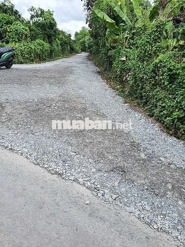 BÁN 8 CÔNG ĐẤT VƯỜN TÂN HỘI, VĨNH LONG