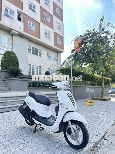 ❤️ Nozza Fi 2015 BSTP Zin Mộc 1 Đời Chủ Uỷ Quyền