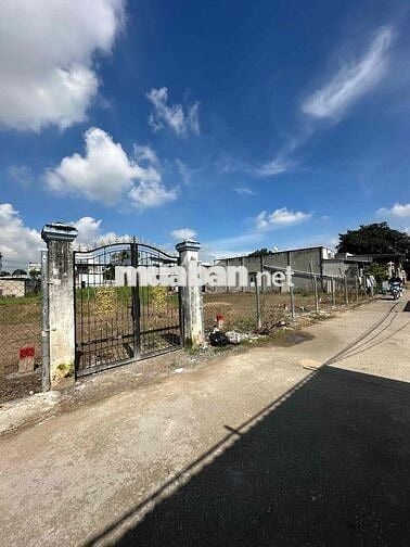 🌟 CHÍNH CHỦ CẦN BÁN GẤP ĐẤT THỔ CƯ XÃ LONG HÒA – LONG AN 🌟 📍