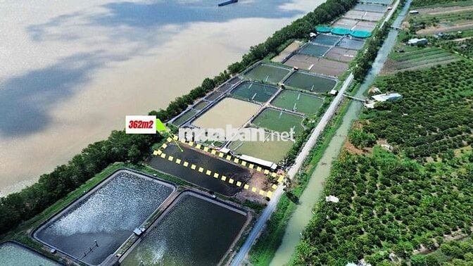 🌿 View sông giá rẻ sẵn thổ cư chỉ 460tr Tân Phú Đông, Tiền Giang