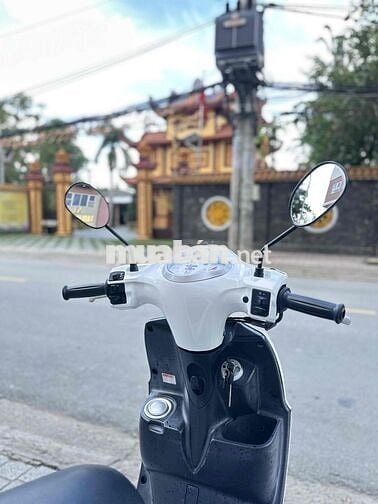 ❤️ Nozza Fi 2015 BSTP Zin Mộc 1 Đời Chủ Uỷ Quyền